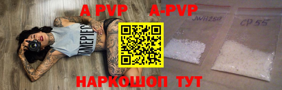 Альфа ПВП СК Энгельс