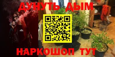 гашик Будённовск