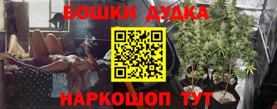 гашик Будённовск