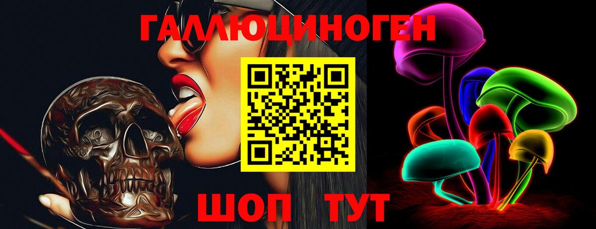 Галлюциногенные грибы Psilocybine cubensis Энгельс