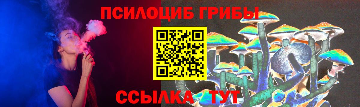 Энгельс  Галлюциногенные грибы Psilocybine cubensis  Вход с VPN 